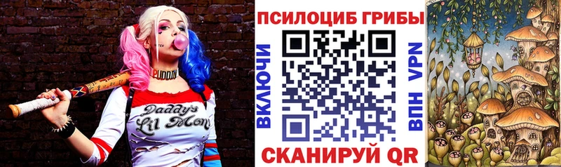 Купить  Тихорецк  Псилоцибиновые грибы ЛСД 