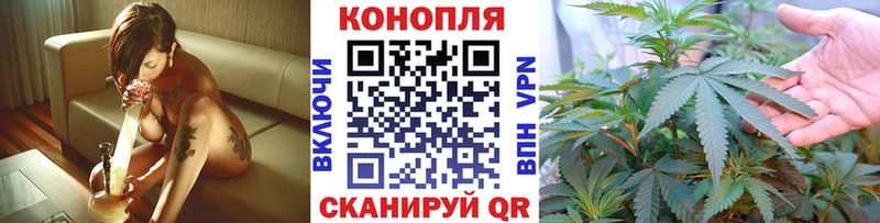Купить закладки  Тихорецк  Бошки Шишки Bruce Banner 